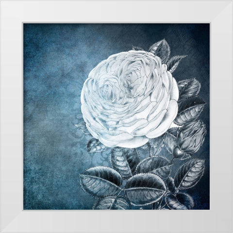 White Bloom 2 White Modern Wood Framed Art Print by Kimberly, Allen