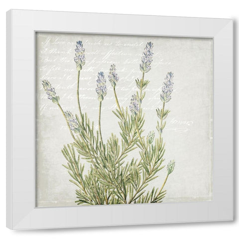 Lavender 1 White Modern Wood Framed Art Print by Kimberly, Allen