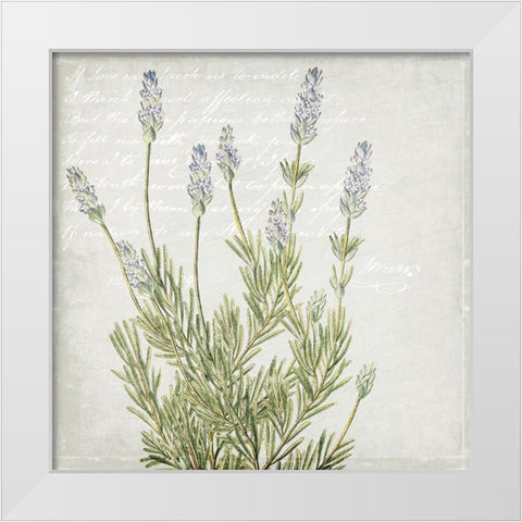Lavender 1 White Modern Wood Framed Art Print by Kimberly, Allen