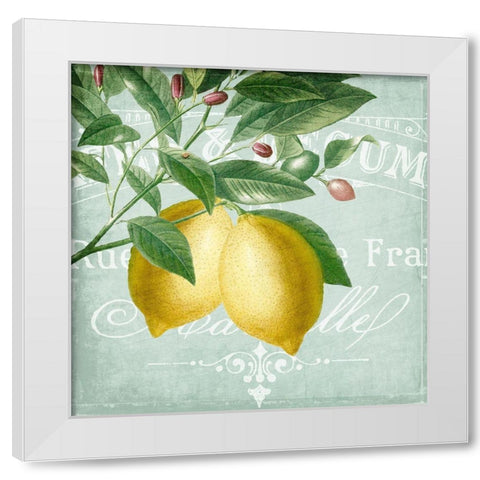 Lemon Drop 2 White Modern Wood Framed Art Print by Kimberly, Allen