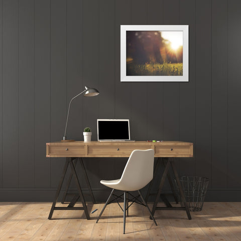 Be Happy Meadow White Modern Wood Framed Art Print by Louise, Gigi