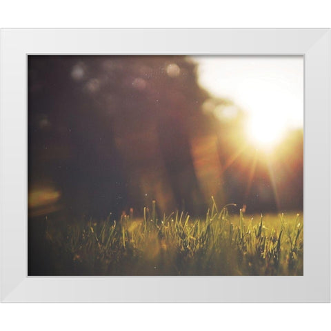 Be Happy Meadow White Modern Wood Framed Art Print by Louise, Gigi