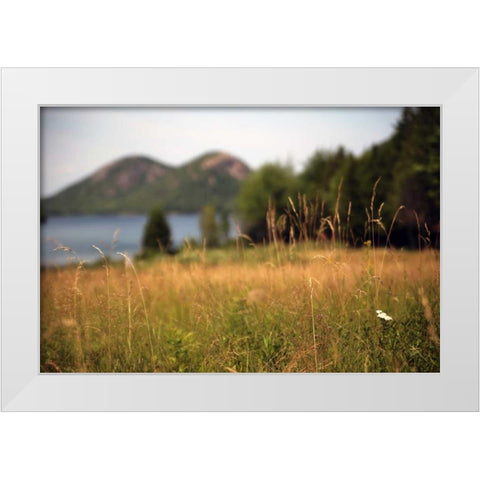 Grassy Field 1 White Modern Wood Framed Art Print by Colberg, Lisa