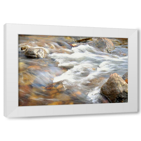 In Motion 2 White Modern Wood Framed Art Print by Grey, Jace