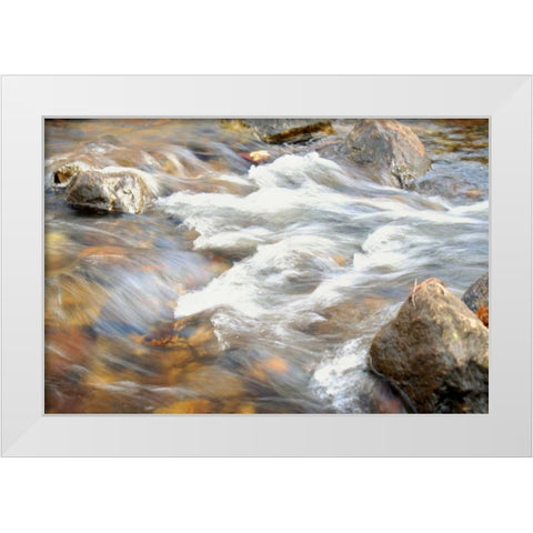 In Motion 2 White Modern Wood Framed Art Print by Grey, Jace