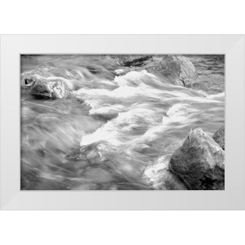 In Motion BW 2B White Modern Wood Framed Art Print by Grey, Jace