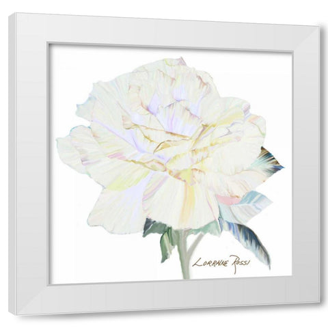 Peace Rose 1 White Modern Wood Framed Art Print by Rossi, Lorraine