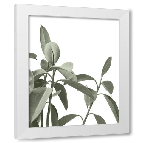 Pale Green Leaves White Modern Wood Framed Art Print by Straatsma, Leah