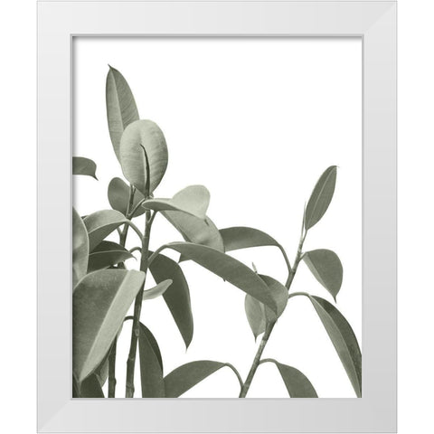 Pale Green Leaves White Modern Wood Framed Art Print by Straatsma, Leah