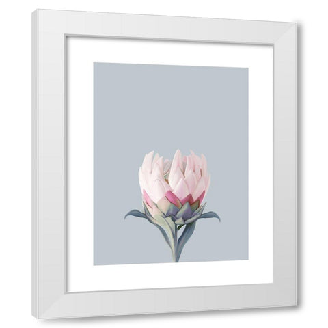King Protea Plant White Modern Wood Framed Art Print by Straatsma, Leah