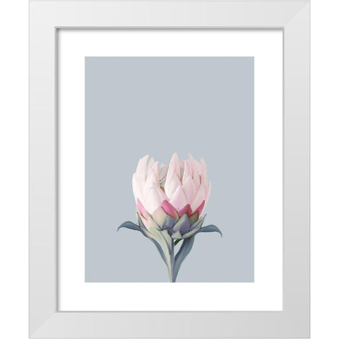 King Protea Plant White Modern Wood Framed Art Print by Straatsma, Leah
