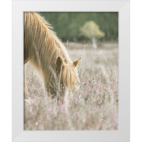 Golden Horse In Meadow White Modern Wood Framed Art Print by Straatsma, Leah