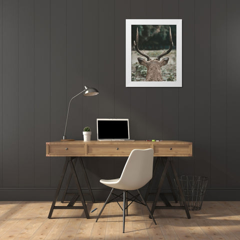 Deer With Antlers White Modern Wood Framed Art Print by Straatsma, Leah