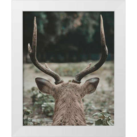 Deer With Antlers White Modern Wood Framed Art Print by Straatsma, Leah