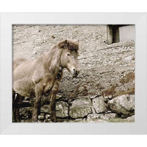 Brown Horse Rock Barn White Modern Wood Framed Art Print by Straatsma, Leah