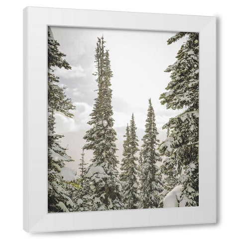 Snow Covered PInes White Modern Wood Framed Art Print by Straatsma, Leah