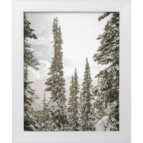 Snow Covered PInes White Modern Wood Framed Art Print by Straatsma, Leah