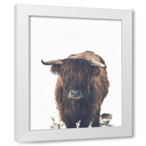 Winter Highland Cow White Modern Wood Framed Art Print by Straatsma, Leah