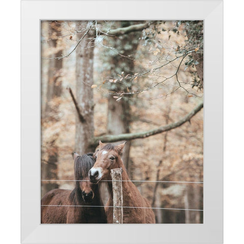 Best Friend Brown Horses White Modern Wood Framed Art Print by Straatsma, Leah