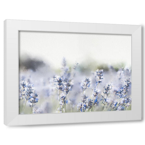 Close Lavender Field White Modern Wood Framed Art Print by Straatsma, Leah