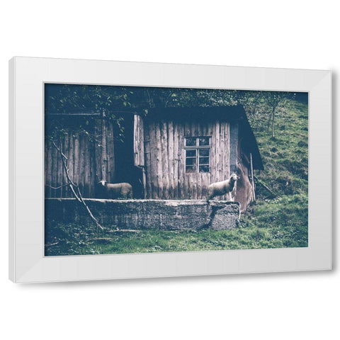 Sheepish White Modern Wood Framed Art Print by Straatsma, Leah