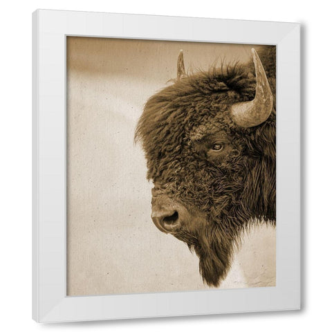 Textured Bison White Modern Wood Framed Art Print by Straatsma, Leah
