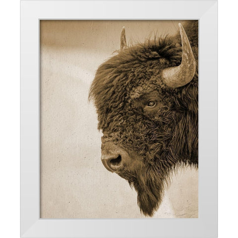 Textured Bison White Modern Wood Framed Art Print by Straatsma, Leah