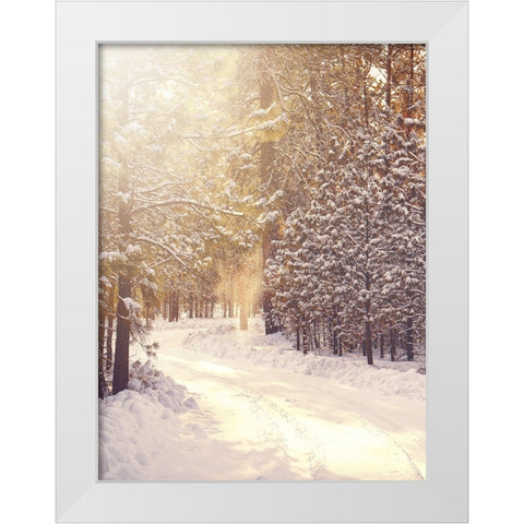 Magical Winter Path White Modern Wood Framed Art Print by Straatsma, Leah