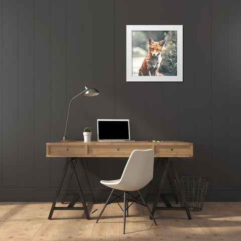 Fox White Modern Wood Framed Art Print by Straatsma, Leah