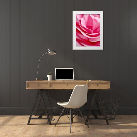 Rose Nahbereich White Modern Wood Framed Art Print by May