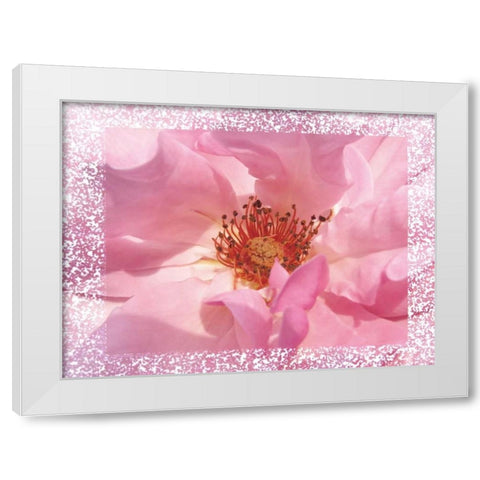 Rosenkern Rahmen White Modern Wood Framed Art Print by May