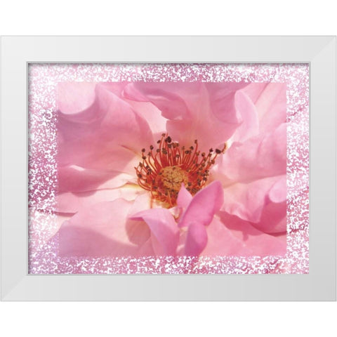 Rosenkern Rahmen White Modern Wood Framed Art Print by May