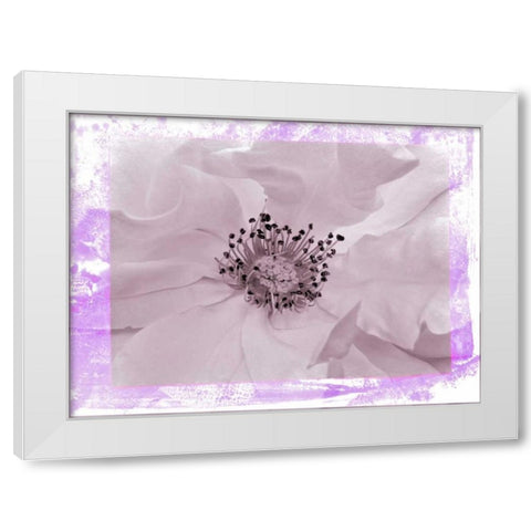 Rosenkern Rahmen 2 White Modern Wood Framed Art Print by May