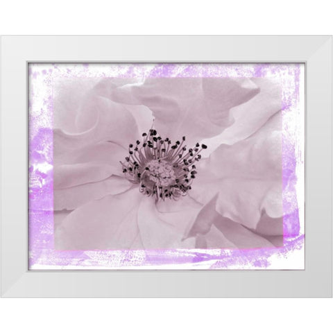 Rosenkern Rahmen 2 White Modern Wood Framed Art Print by May