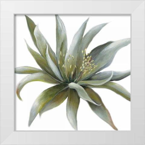 Wonderous Rays Withaar White Modern Wood Framed Art Print by May