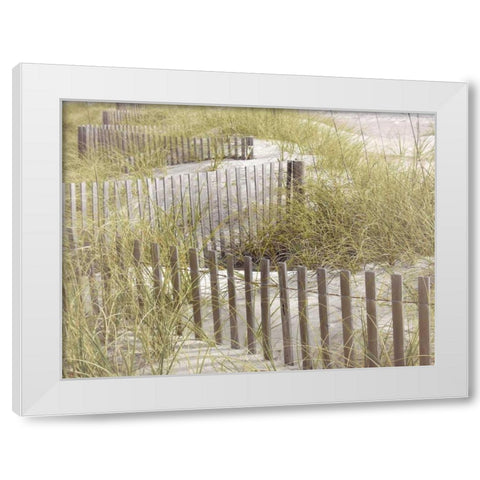 Coastal Photograpy Untextured White Modern Wood Framed Art Print by Hogan, Melody