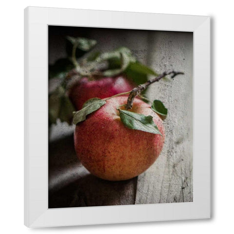 Apple Duo White Modern Wood Framed Art Print by Hogan, Melody