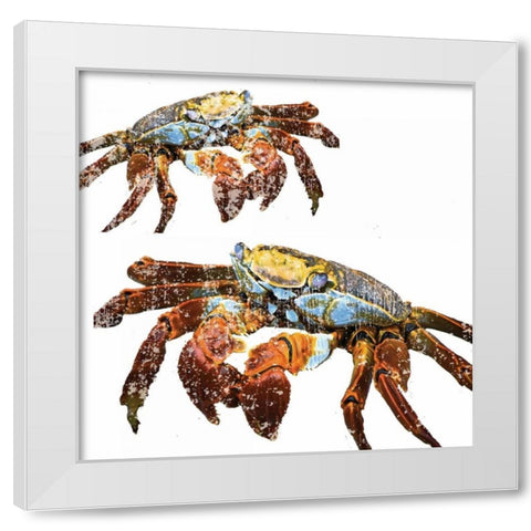 Winter Crabs White Modern Wood Framed Art Print by Hogan, Melody