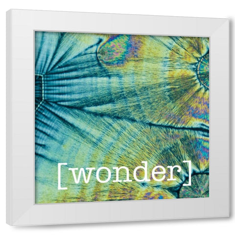 Wondering Coconuts White Modern Wood Framed Art Print by Hogan, Melody