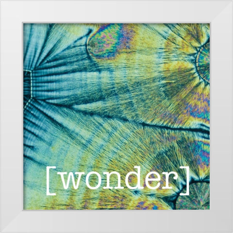 Wondering Coconuts White Modern Wood Framed Art Print by Hogan, Melody