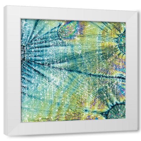 Distressed Coconuts White Modern Wood Framed Art Print by Hogan, Melody