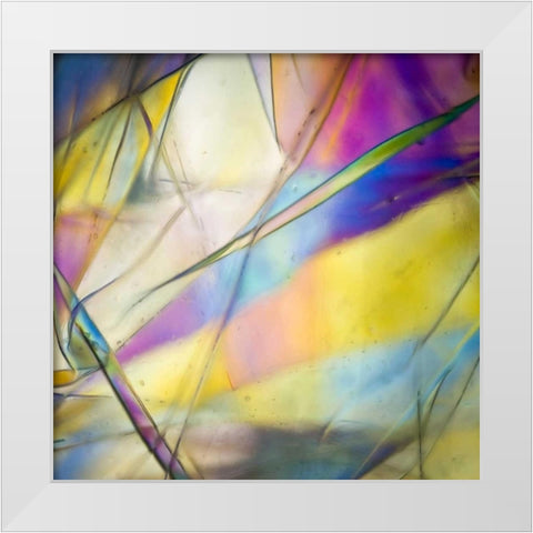 Stain Glass 2 White Modern Wood Framed Art Print by Hogan, Melody