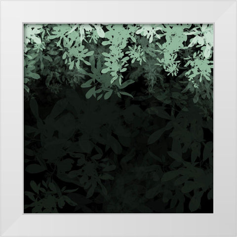 Dark Tropical II White Modern Wood Framed Art Print by Hogan, Melody