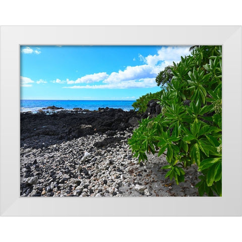 Shoreline  Path White Modern Wood Framed Art Print by Nebula, Melissa