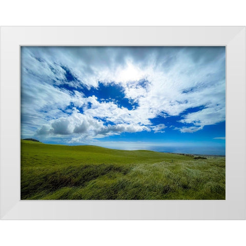Hills of Kohala White Modern Wood Framed Art Print by Nebula, Melissa