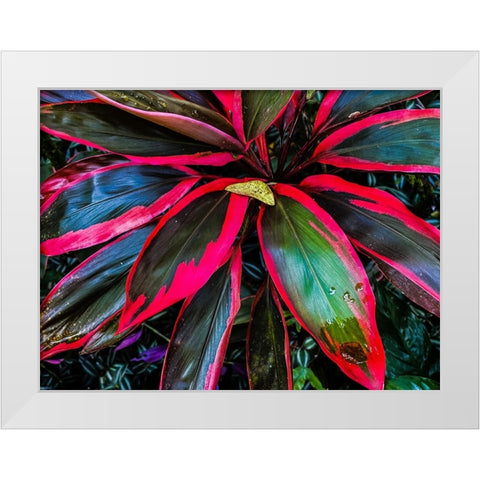 Shady Ti Tree White Modern Wood Framed Art Print by Nebula, Melissa