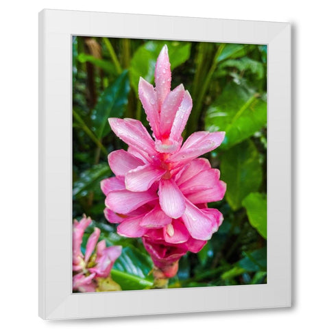 Floral Heart Bliss White Modern Wood Framed Art Print by Nebula, Melissa