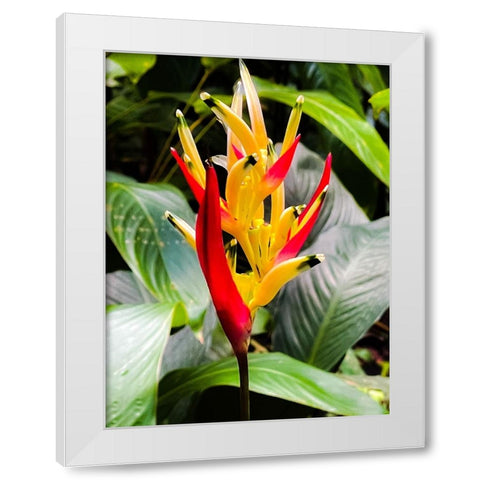 Reach for the Light White Modern Wood Framed Art Print by Nebula, Melissa