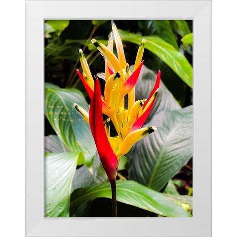 Reach for the Light White Modern Wood Framed Art Print by Nebula, Melissa