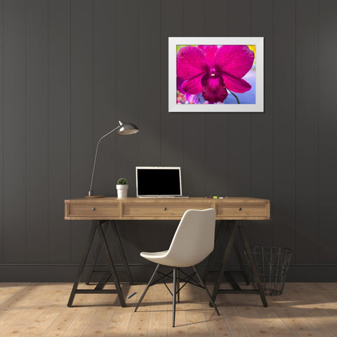 Orchid Daze White Modern Wood Framed Art Print by Nebula, Melissa